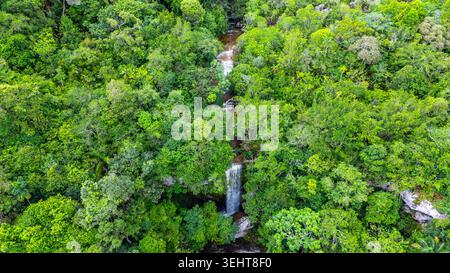 Une cascade époustouflante coule à travers une forêt verdoyante, mettant en valeur la riche biodiversité de Guaviare, en Colombie. Banque D'Images