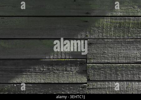 Vieux mur en bois grungy fait de planches horizontales en bois de pin peintes en vert éclairé par la lumière du soleil avec de fortes ombres patten. Vue de face, abstrait b Banque D'Images