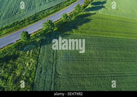 Vue aérienne sur les champs et la route. Paysage de drone. Paysage agricole vu de l'air. Banque D'Images