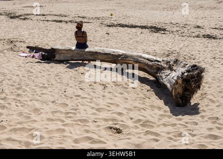 Par une belle journée ensoleillée à la plage, une jeune femme est assise calmement sur un grand morceau de bois flotté. Le sable doux l'entoure comme elle apprécie le calme ainsi Banque D'Images