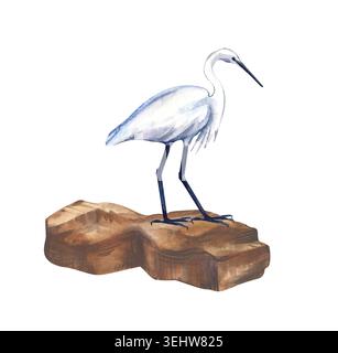 Une élégante illustration aquarelle d'une élégante aigrette blanche perchée sur un rocher brun côtier. Élément de conception isolé peint à la main avec bleu doux et Banque D'Images