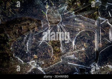 Motif de glace gelée formé sur la surface de l'eau peu profonde montrant la texture naturelle de l'hiver Banque D'Images