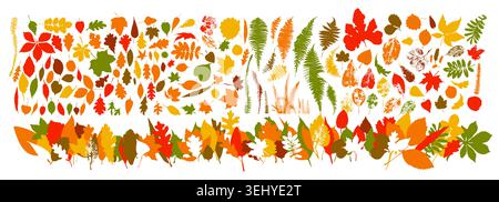 Grand ensemble de feuilles d'automne. dessiné à la main. Pas ai, illustration vectorielle Illustration de Vecteur