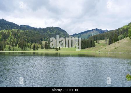 Large vue panoramique sur un lac de montagne serein entouré de forêts verdoyantes de pins et de collines. Ciel couvert Moody reflétant dans l'eau claire Banque D'Images