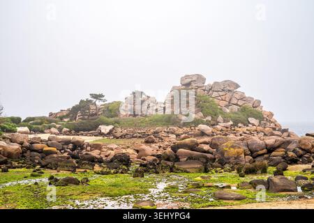 Une large vue côtière sur la Bretagne met en valeur un promontoire rocheux de granit rose avec des arbres verts. Au premier plan, le fond marin sablonneux couvert de bri brillant Banque D'Images