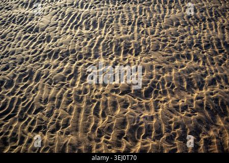 La lumière chaude du matin se répand sur les marques d'ondulation de marée dans le sable créant une ombre forte et un motif de texture sur la plage à marée basse Banque D'Images