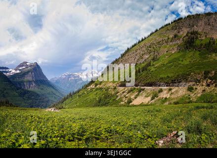 Emblématique de la route Sun Road, qui longe les falaises spectaculaires, les vallées verdoyantes et les sommets enneigés du parc national Glacier Banque D'Images