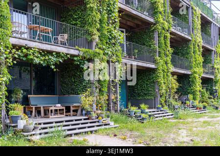Immeuble d'appartements verdoyant moderne avec jardins verticaux en cascade, balcons spacieux et éléments structurels en bois dans une banlieue calme d'Ede, pays-Bas. Feuillage luxuriant, architecture durable et espaces de vie extérieurs. Banque D'Images