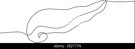 Un simple dessin au trait représentant un pancréas humain, mettant en valeur un style artistique minimaliste sur un fond blanc Uni. Illustration de Vecteur