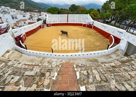 Vue grand angle de l'arène elliptique Plaza de Toros arène arène avec une statue centrale de taureau et des barrières rouges, Mijas pueblo, Andalousie, Espagne Banque D'Images