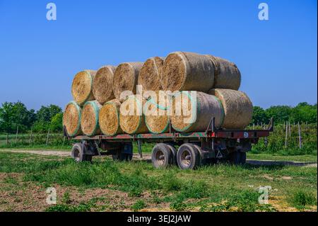 Balles de paille chargées sur la remorque du tracteur dans le champ Banque D'Images