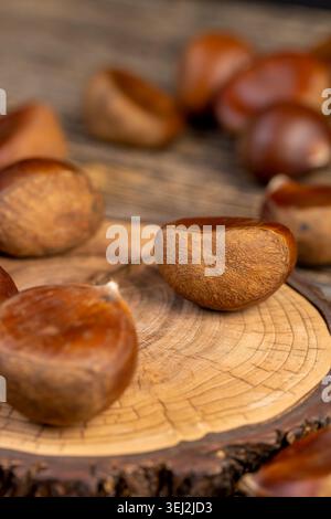 Châtaignes récoltées comestibles, un groupe de grandes châtaignes fraîches récoltées et dispersées sur une vieille table en bois pendant la cuisson et la cuisson, noix comestibles Banque D'Images