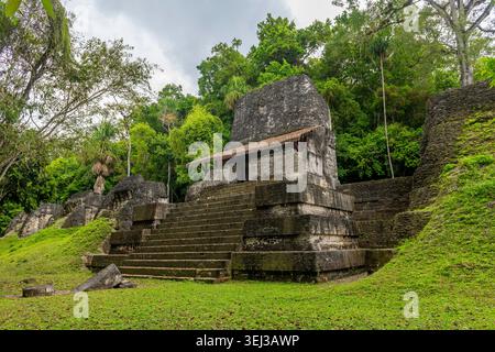 Ruines mayas perdues de Tikal dans la jungle du Peten, Guatemala. Banque D'Images