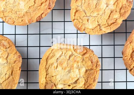Vue de haut en bas de délicieux biscuits aux pépites de chocolat maison disposés soigneusement sur une grille de refroidissement en métal avec un espace de travail propre et lumineux Banque D'Images