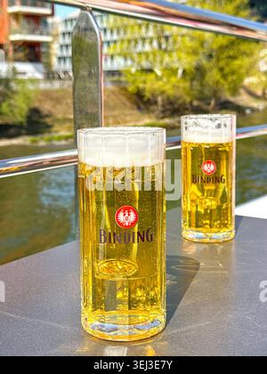 Francfort, Allemagne - 11 avril 2026 - deux grands verres de bière lager mousseuse sur une table à bord d'un bateau de croisière sur le main à Francfort. Banque D'Images