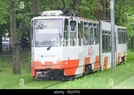 Un tramway à Tallinn, Estonie sur des rails envahis d'herbe Banque D'Images