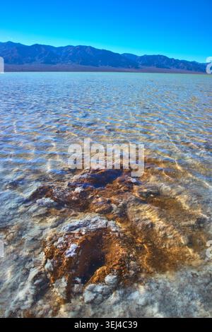 Les formations salines reflétaient l'eau et les montagnes lointaines dans la vallée de la mort du bassin de Badwater Banque D'Images