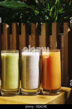 Nourriture, trois grands verres de smoothies colorés assis sur une table en bois. Les boissons présentent des teintes vertes, grises et oranges. Verdure luxuriante en arrière-plan Banque D'Images