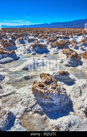 Devil's Golfcourse Salt formations et montagnes lointaines sous Clear Blue Sky Banque D'Images