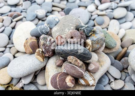 Cailloux variés avec des motifs vibrants et des teintes dispersés sur une plage Banque D'Images