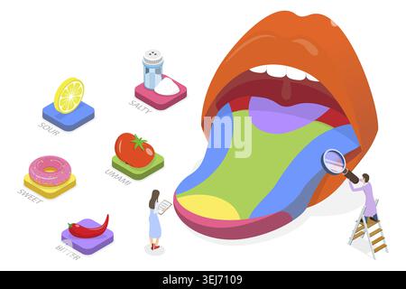 Illustration conceptuelle plate isométrique 3D du schéma du goût, récepteurs du goût de la langue, aigre, doux, amer, Salty et Umami Banque D'Images