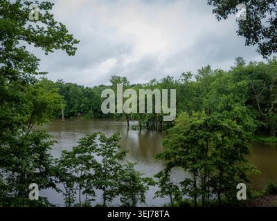 Des arbres verdoyants encadrant un lac boisé inondé ou un bassin de rivière sous un ciel nuageux couvert dans un paysage naturel tranquille Banque D'Images
