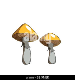 Champignon dessiné à la main, illustration vectorielle. Menu végétalien. Champignons toxiques et comestibles. Cueillette de champignons d'automne, croquis de plantes forestières Illustration de Vecteur