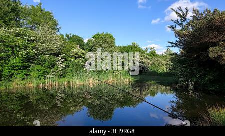 Paysage verdoyant avec un étang tranquille reflétant les arbres et le ciel bleu, entouré de feuillage dense Banque D'Images