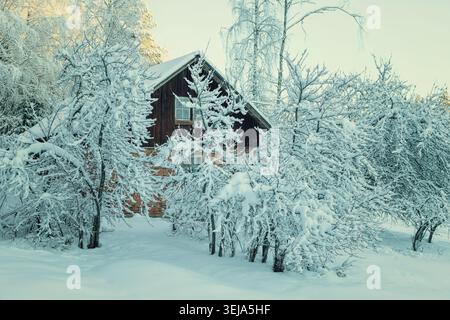 Gumböle, Finlande - 31 décembre 2023 : Maison traditionnelle finlandaise dans une forêt enneigée Banque D'Images