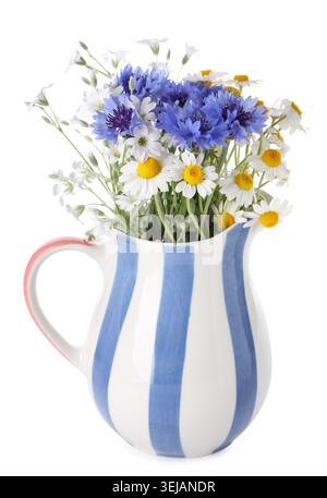 Belles fleurs sauvages en pichet isolé sur blanc Banque D'Images