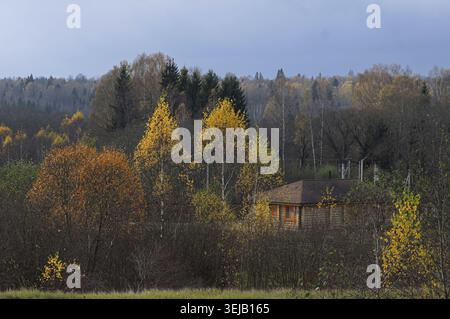 Paysage forestier d'automne pittoresque avec une cabane en bois parmi les bouleaux et les érables avec feuillage jaune et orange. Vue sur la campagne tranquille, nuageux Banque D'Images