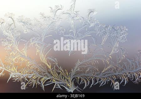 Arbre parfaitement symétrique formant une forme de coeur dans des cristaux de glace givrée sur la fenêtre, éclairé par un gradient d'orange coucher de soleil Banque D'Images