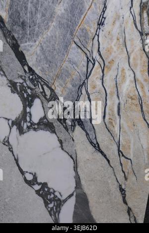 Cette superbe surface en marbre présente des motifs complexes de noir et blanc avec des veines élégantes qui traversent. La texture riche et les couleurs uniques hig Banque D'Images
