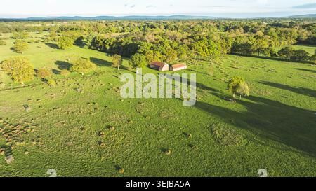 Un impressionnant drone capture un pâturage vert éclatant parsemé d'arbres matures et de structures agricoles rustiques sous un ciel dégagé Banque D'Images