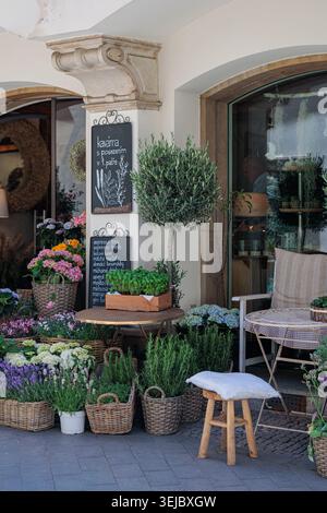 Une boutique de fleurs en plein air confortable avec des plantes en pot colorées, des paniers en osier, un menu au tableau noir et des sièges rustiques qui créent une ambiance chaleureuse Banque D'Images