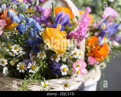 Fleurs printanières colorées disposées dans un panier en osier Banque D'Images