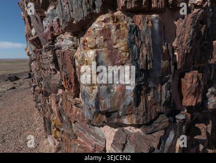 Mur empilé en bois pétrifié avec coupe transversale colorée, parc national de la forêt pétrifiée, Arizona, États-Unis Banque D'Images