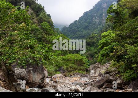 Vallée de la rivière Sanzhanxi dans Taroko gorge. Lit de rivière rocheux entre des montagnes boisées abruptes. Une végétation luxuriante recouvre des falaises. Banque D'Images