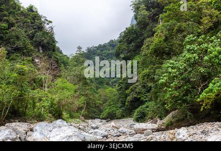 Une forêt verdoyante remplit une vallée escarpée à Sanzhanxi, dans le parc national de Taroko. Un lit de rivière rocheux sec s'étend vers les montagnes. Banque D'Images