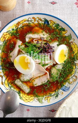 Soupe traditionnelle okroshka avec oeuf et poulet Banque D'Images