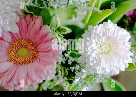 Fleurs blanches et roses formant un cluster de jardin vibrant Banque D'Images