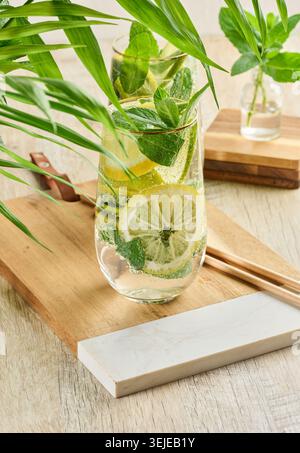 Boisson rafraîchissante aux agrumes et à la menthe dans des verres avec de la glace, du citron, du citron vert et des feuilles de menthe. Boisson estivale saine Banque D'Images
