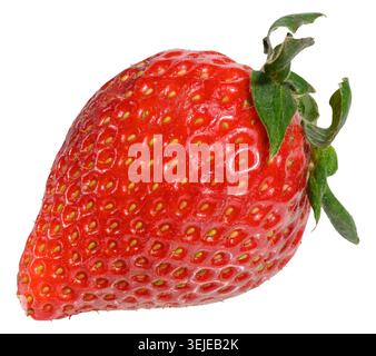 Une seule fraise rouge mûre avec de petites graines jaunes et des feuilles vertes fraîches, fond isolé Banque D'Images