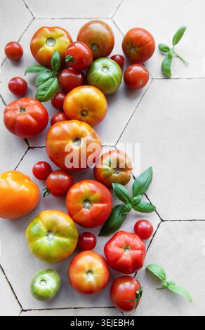 Tomates fraîchement récoltées et basilic dispersés sur une surface de cuisine carrelée hexagonale pendant l'été Banque D'Images
