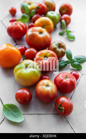 Tomates héritées fraîchement récoltées dispersées sur une surface carrelée hexagonale beige avec des feuilles de basilic Banque D'Images