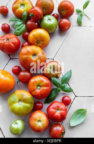 Tomates fraîchement récoltées et basilic dispersés sur une surface de cuisine carrelée hexagonale pendant l'été Banque D'Images
