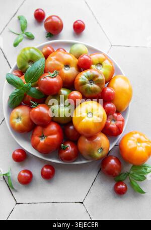 Tomates fraîches assorties disposées sur une assiette blanche avec des feuilles de basilic vert dans un cadre de cuisine lumineux Banque D'Images