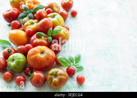 Tomates fraîchement récoltées et basilic disposés sur une table rustique avec lumière naturelle Banque D'Images