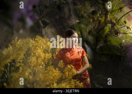 Belle femme asiatique portant la robe traditionnelle rouge cheongsam souriant doucement tout en se tenant parmi les fleurs jaunes vibrantes de jardin nature avec calme Banque D'Images