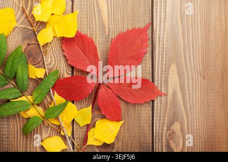 Les feuilles d'automne sur fond de bois Banque D'Images